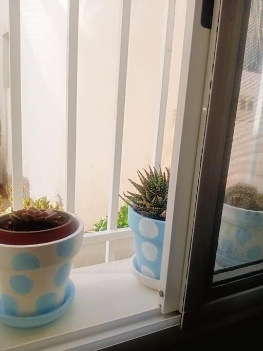 Casa Iribarne Daire Rodalquilar Dış mekan fotoğraf